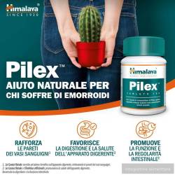 Pilex (100 compresse) 1