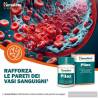 Pilex (100 compresse) 2