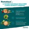 Rumalaya gel (50 g) 1
