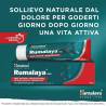 Rumalaya gel (50 g) bis