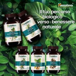 Organic Tribulus (60 capsule) Tribolo 100% Vegan Friendly 1