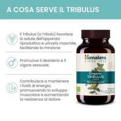 Organic Tribulus (60 capsule) Tribolo 100% Vegan Friendly 2