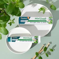 GUM EXPERT Mint Fresh Dentifricio (75 ml) 3