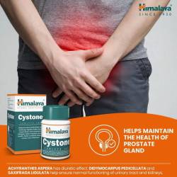 Cystone (100 compresse) 6