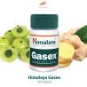 Himalaya Gasex (100 compresse)