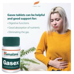 Himalaya Gasex (100 compresse) 1