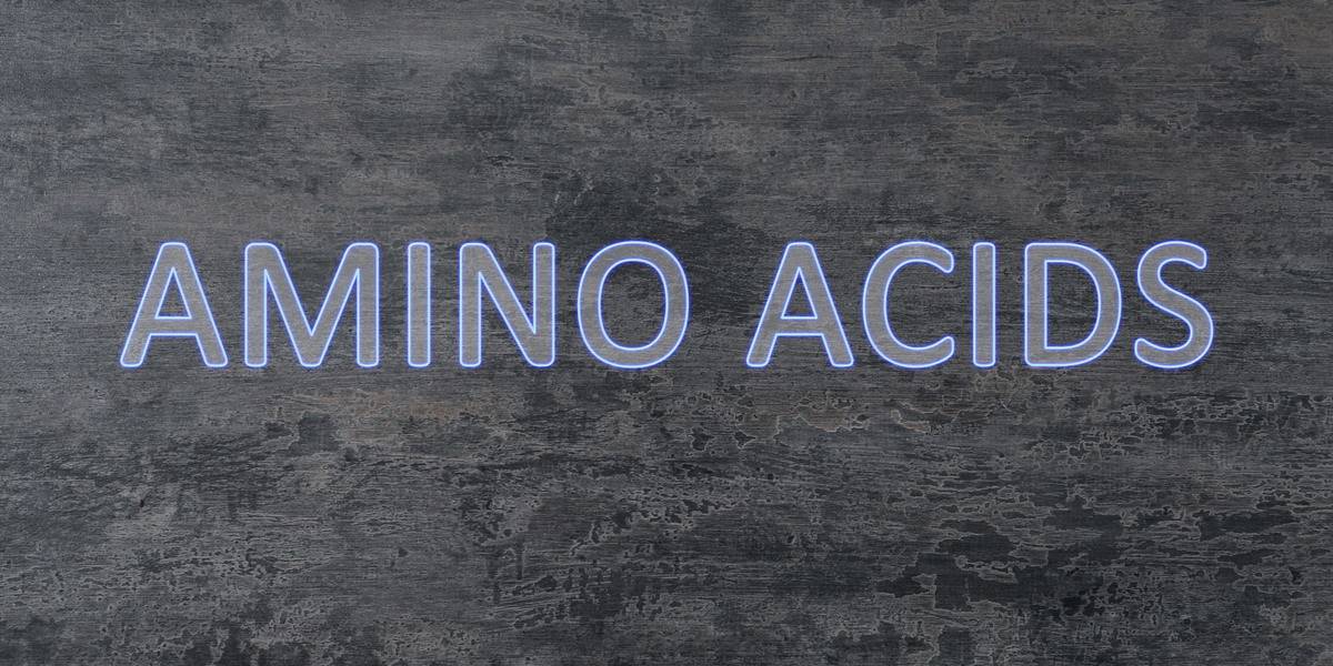 Aminoacidi: guida completa su funzione, alimentazione e integrazione | xsalute.it